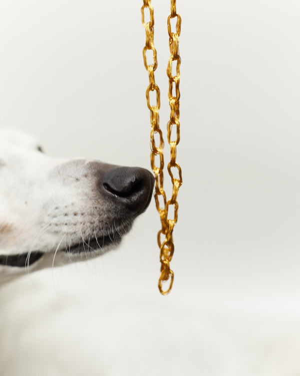 Yarn Kette in Gold